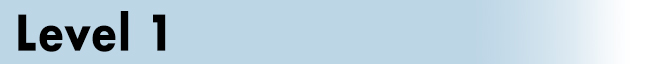 Level 1 Header