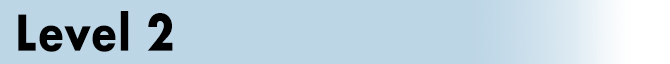 Level 2 Header