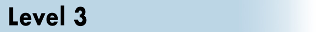 Level 3 Header